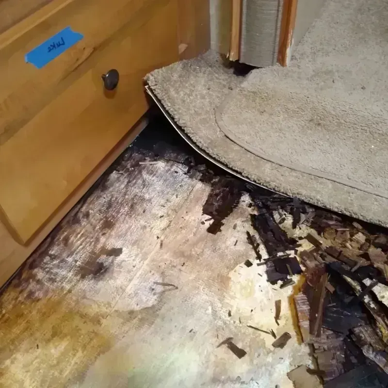 Wood Floor Water Damage in Flippin, AR